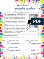 Ficha de Ideas Principales y Secundarias