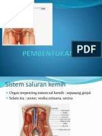 PEMBENTUKAN URIN.1pptx.pptx