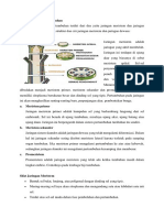 Struktur Jaringan Tumbuhan