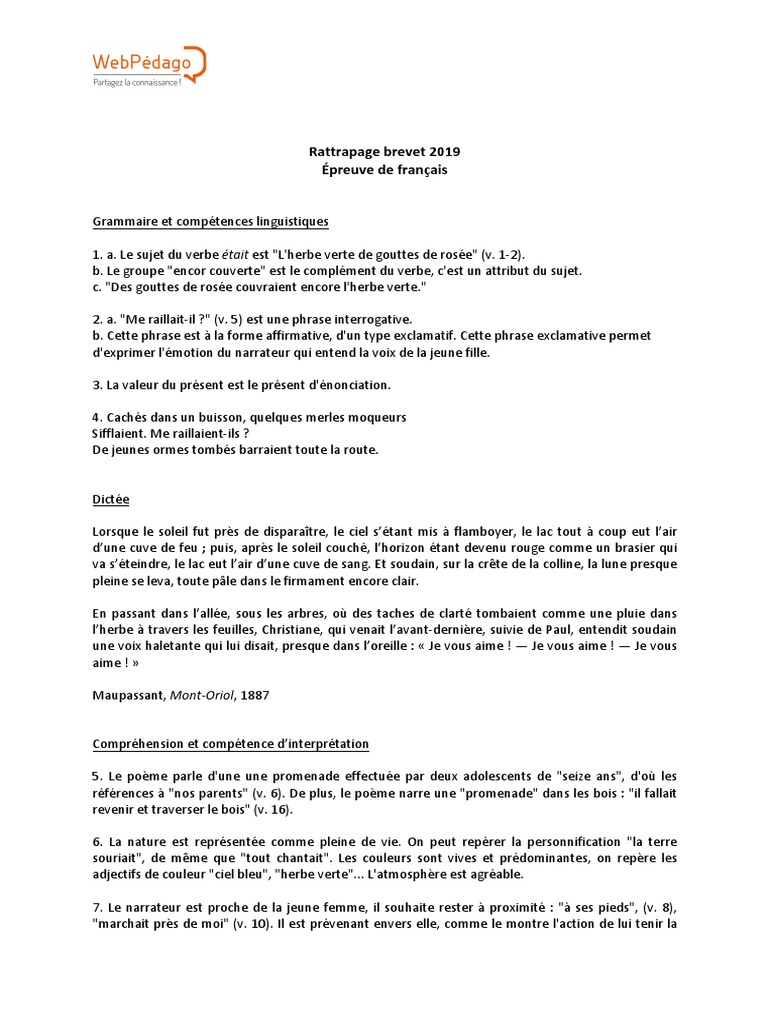 Sujet Brevet Français 2019 Pdf Corrigé Ratt Brevet 2019 Francais | PDF | Phrase | Linguistique