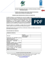 Fomato_Perfiles_Proyectos_270913.doc