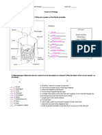 Digestive System Answer Key