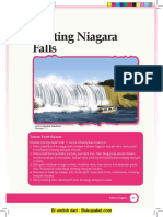 Chapter 7 Visiting Niagara Falls