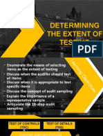 Determining The Extent of Testing