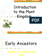 Introduction to the Plant Kingdom in 40 Characters