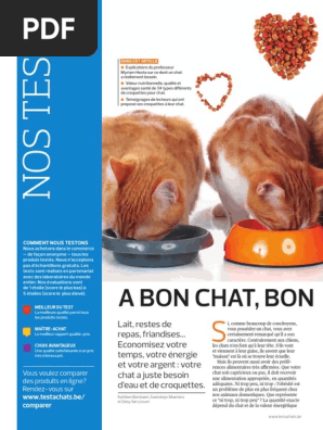 Croquettes Pour Chats Fichier Pdf Pdf Alimentation Animale Chats