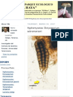 Hyphomycetes: Dictyosporium Subramanianii