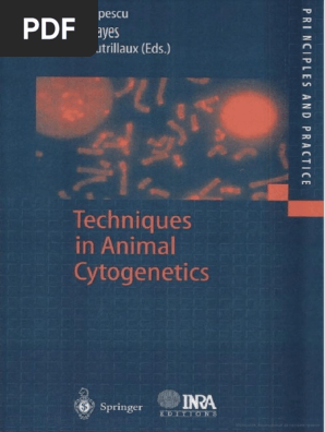 Techniques In Animal Cytogenetics Pdf Pdf Cytogenetics Base Pair