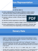 1.1.1. Number Representation