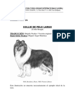 Collie