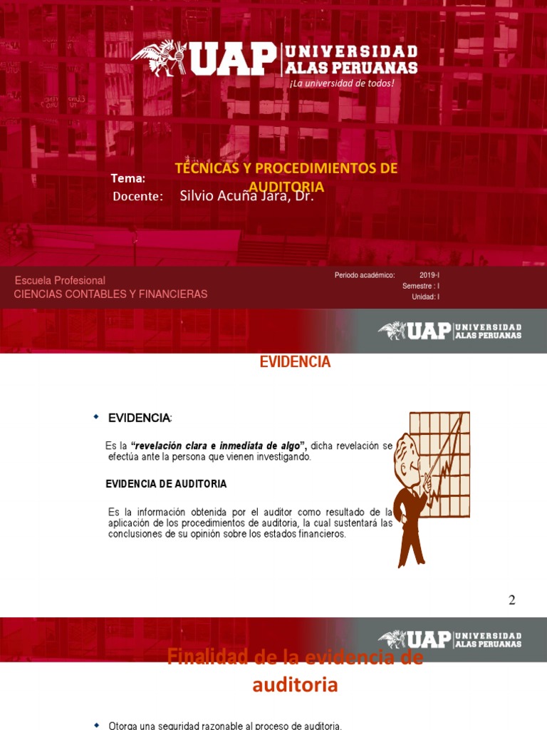 Auditoría Técnicas Procedimientos Pdf Auditoría Contralor