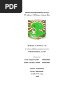 Marketing Strategist of PT Indofood CBP Sukses Makmur Tbk.docx