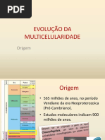 evolução da multicelularidade