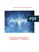 Acordaj-Cu-Sigiliul-Pentru-Conexiune-Si-Purificare-Al-Angelitului.pdf