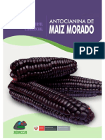 ANTOCIANINA DE MAIZ MORADO.pdf