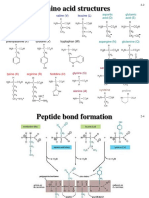 Amino Acid Structures: Valine (V) Leucine (L) Methionine (M) Isoleucine (I)