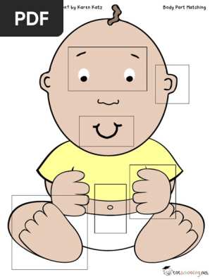 Where Is Babys Belly Button Matching Body Parts Pdf
