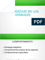 Aprendizaje en Animales