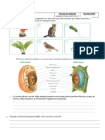 Evaluaciones Ciencias 2018