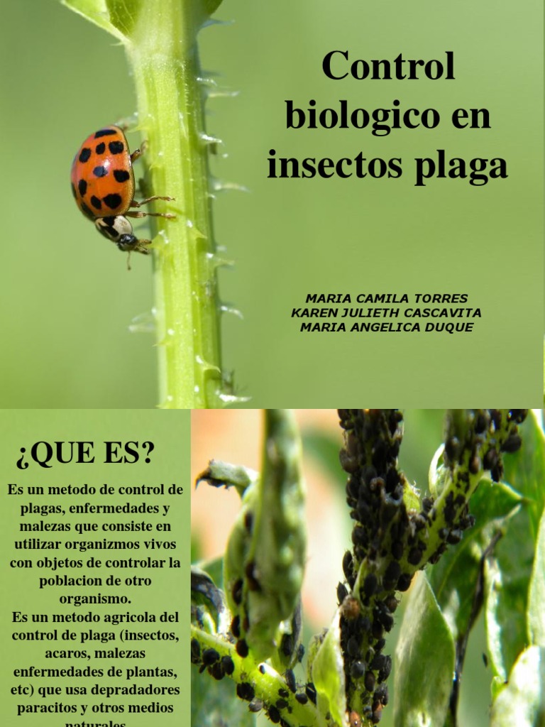 Control Biológico de Plagas en Agricultura | PDF | Plaga (organismo ...
