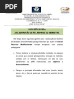 Sugestões Para a Eaboração de Relatório s Pareceres de Alunos Atendidos Em Srm