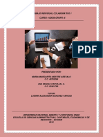 102038_6_TrabajoColaborativo1.pdf