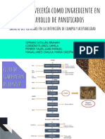 Pan de bagazo de cervecería: revalorización de un subproducto