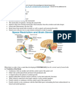 Central Nervous System