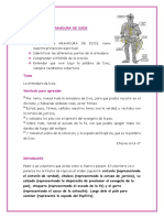 Armadura PDF
