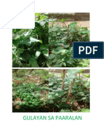 GULAYAN SA PAARALAN.docx