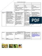 3 Actividades Historia, Lengua y Matemáticas