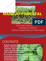 Manejo Forestal