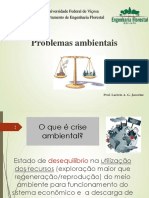 1.1.Criseambientaleavancos 20032019192551