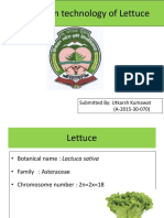 Production Technology of Lettuce: Submitted By: Utkarsh Kumawat (A-2015-30-070)