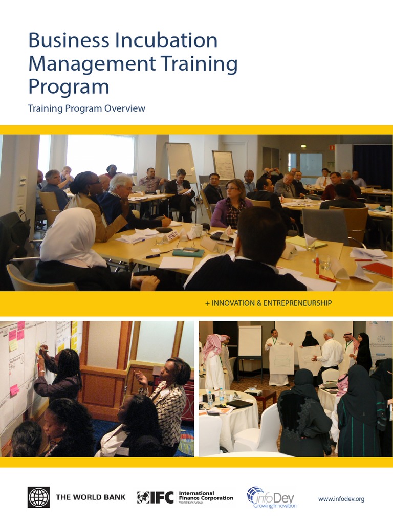 Brochure Infodev Incubation Training Nov13 Pdf Pdf Mentorship
