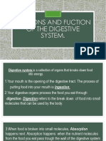 Digestive system