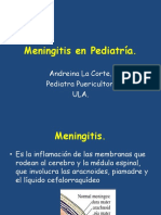 meningitis en pediatria