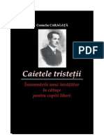 Caietele Tristetii Costache Caragata