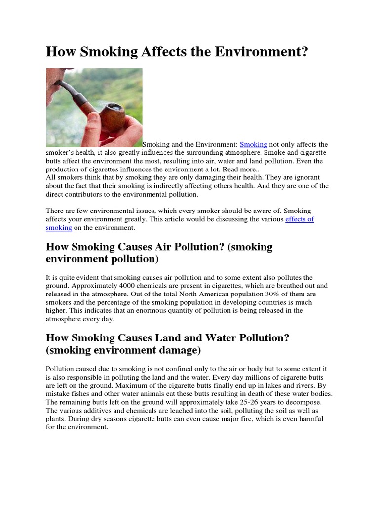 How Smoking Affects The Environment PDF Cigarette Smoking