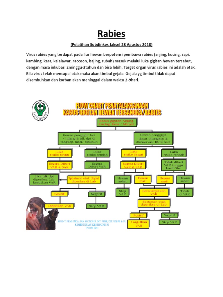 Tatalaksana Luka Gigitan Rabies | PDF | Sains & Matematika