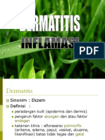 1.2. Dermatosis Inflamasi Akut - Kronis