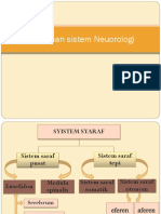  Neuorologi 