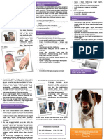 Leaflet Rabies