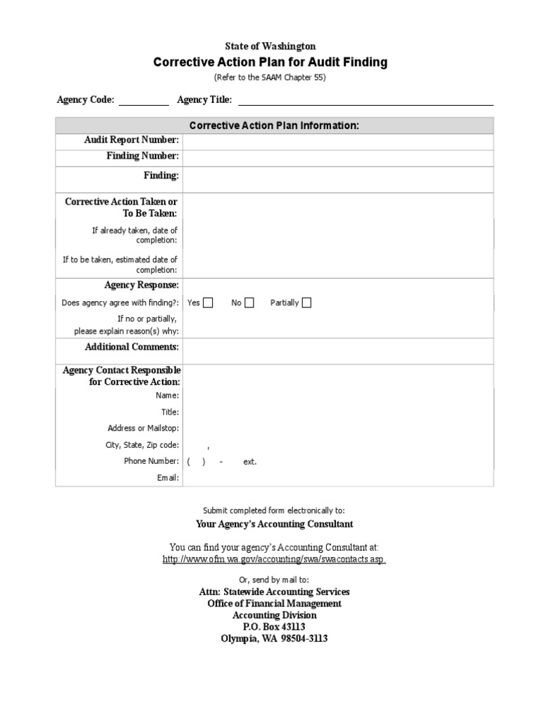Corrective Action Plan For Audit Finding | PDF