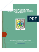 Profil Kesehatan Kabupaten Lombok Timur TAHUN 2017