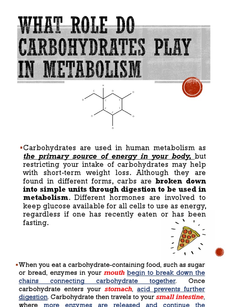 Carbohydrate Metabolism How the Body Breaks Down and Uses Carbs for