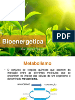 Bioenergética