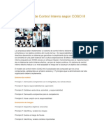 Principios_de_Control_Interno_COSO_III.pdf
