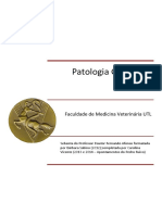 Patologia - Teórica