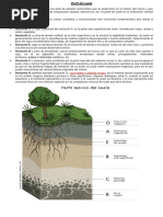 Características del Suelo Calizo | PDF | Caliza | Suelo